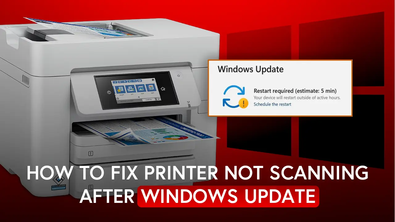 Printer Not Scanning After Windows Update